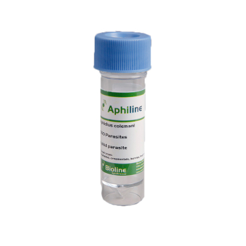 Aphiline - 30ml Vial