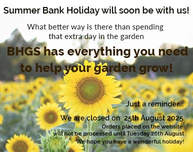 Promo_AugustBankHolidays_2025