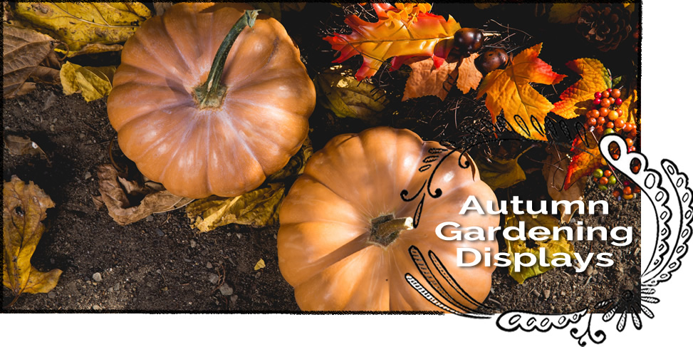 Autumn Gardening Displays