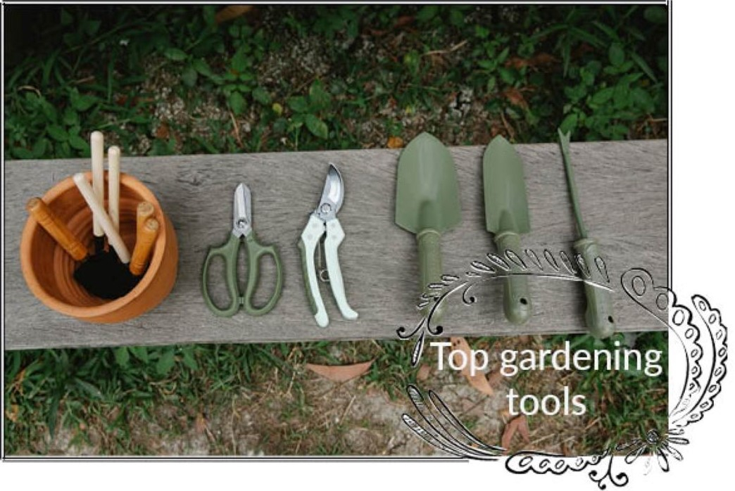 Top Gardening Tools