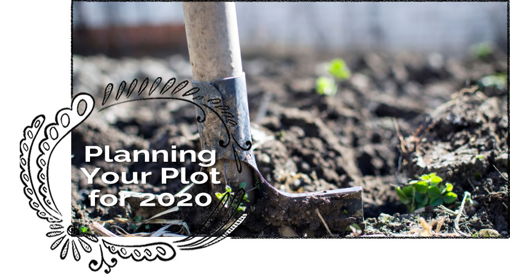 Planning Your Plot