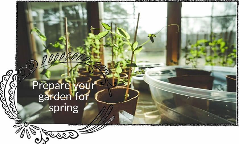 Preparing Your Garden For Spring