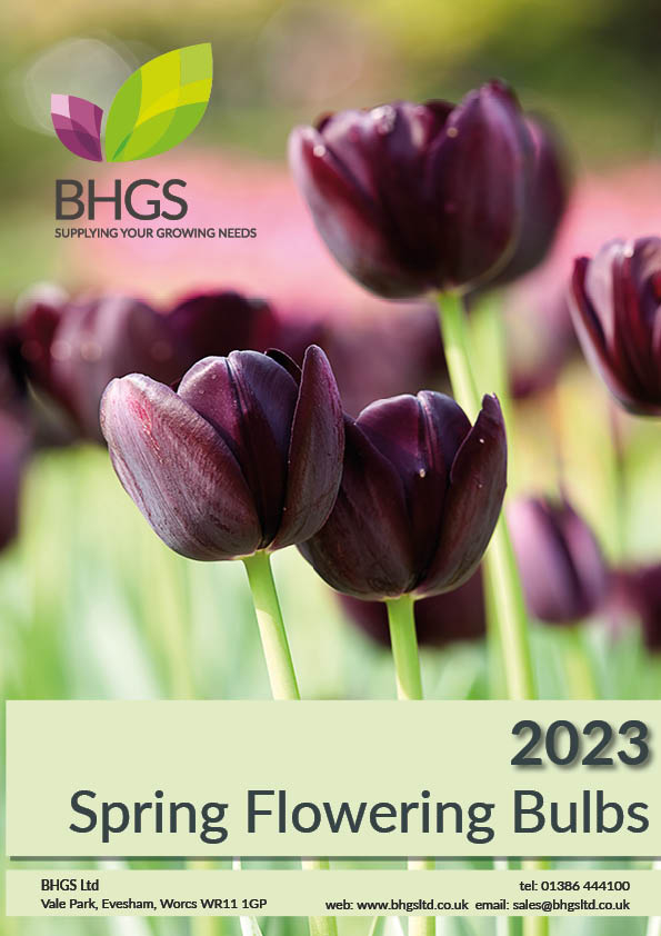 Spring Flowering Bulbs Brochure