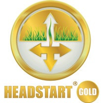 Headstart Gold