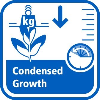 Condensed Growth