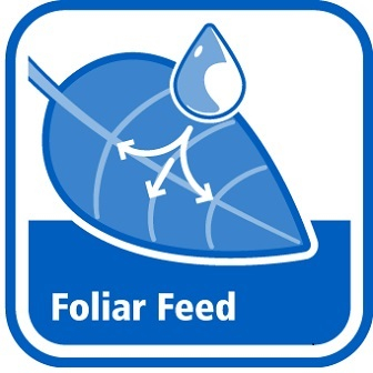 Foliar Feed