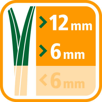 Grass Height