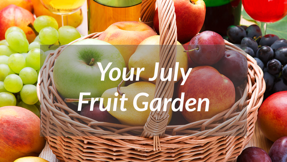 Fruit Garden