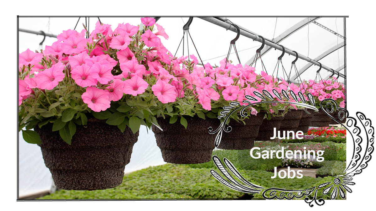 June Gardening Jobs