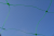 Plant support Net Plant support Net
