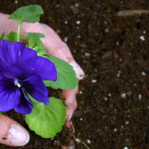 Growing Media Growing Media