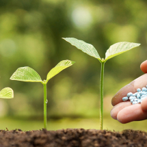 Fertilisers Fertilisers