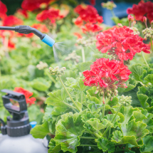 Crop Protection Products Crop Protection Products