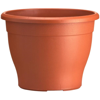 Sabina Decorative Pot Sabina Decorative Pot