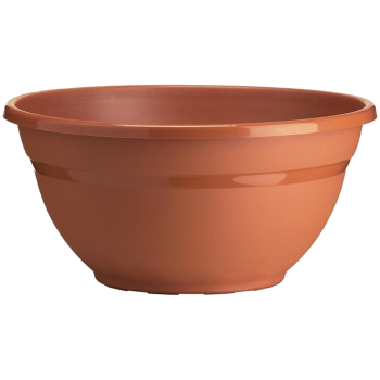 Miranda Plant Bowl Miranda Plant Bowl