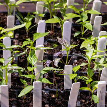 Labels & Accessories Labels & Accessories