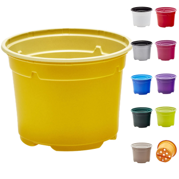 Soparco Thermoformed Duo® 5° Low - Colorama Soparco Thermoformed Duo® 5° Low - Colorama