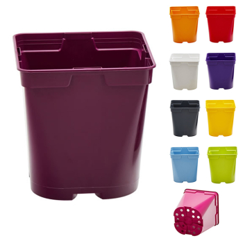 Soparco Square/Round Container Pots 0.5L - Colorama