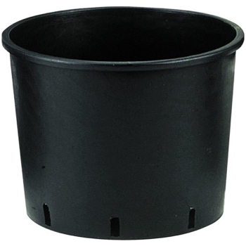 Bassa Container Pots