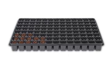 Fertiss Trays with Plugs Fertiss Trays with Plugs