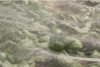 Enviromesh Enviromesh