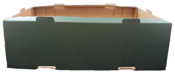 Soft Fruit Punnet Tray Soft Fruit Punnet Tray