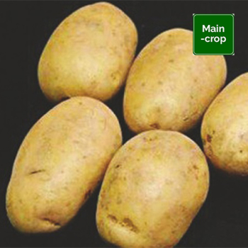Pentland Crown Seed Potatoes