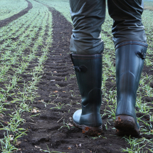 Clothing & Footwear Clothing & Footwear