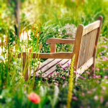 Garden Furniture Garden Furniture