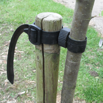 Buckle Tree Ties Buckle Tree Ties