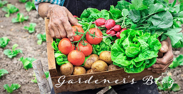 gardeners Blog