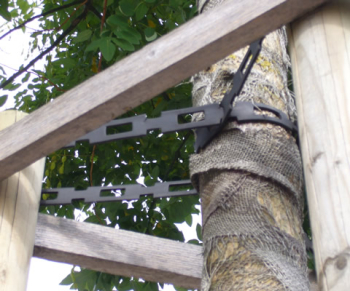 Chainlock Tree Ties Chainlock Tree Ties