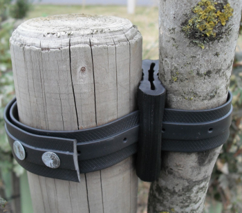 Rubber Tree Cushion Rubber Tree Cushion