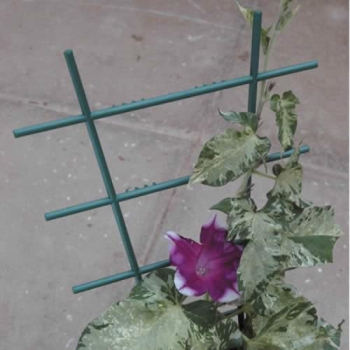 Plant Trellis Plant Trellis