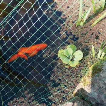Pond Protection Pond Protection