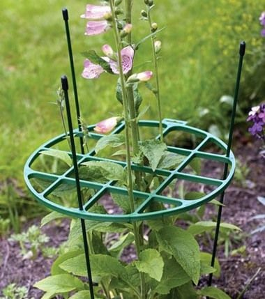 Plant Support Ring BHGS Ltd