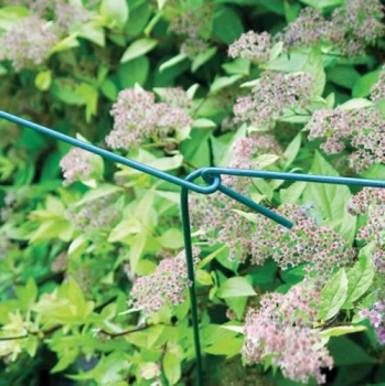 Plant Support Stakes Plant Support Stakes