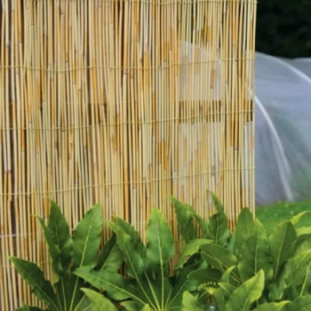 Reed Screen Reed Screen