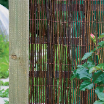 Willow Screen Willow Screen