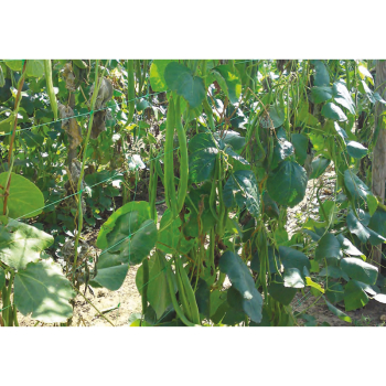 Gladiator Support Netting Gladiator Support Netting