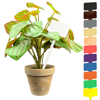 Flat Head 'T' Display Labels Flat Head 'T' Display Labels