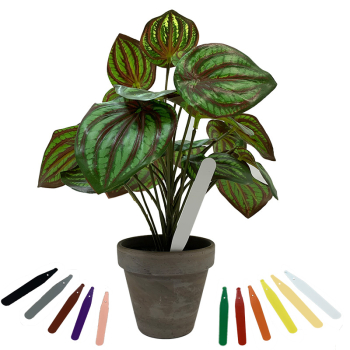 Pot Labels 4inch Pot Labels 4inch