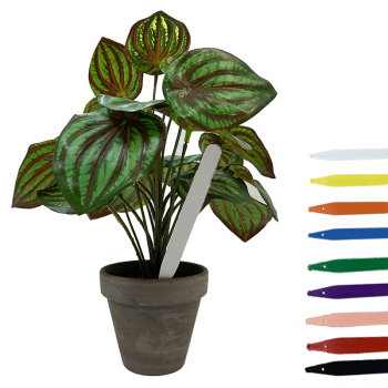 Pot Labels 5 Pot Labels 5