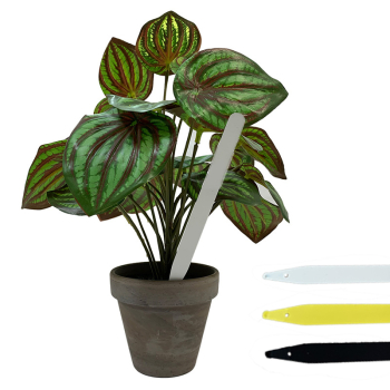 Pot Labels 6inch Pot Labels 6inch