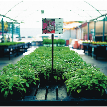 Bench Stand - Non Adjustable Bench Stand - Non Adjustable