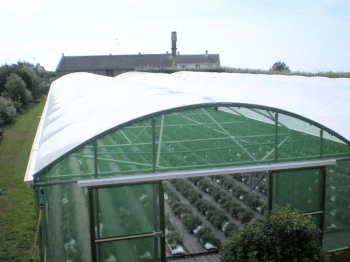 Sunmaster Clear Polytunnel Cover