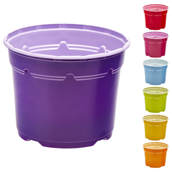 Soparco Thermoformed Nursery Duo® 5° Low - Colorama Soparco Thermoformed Nursery Duo® 5° Low - Colorama