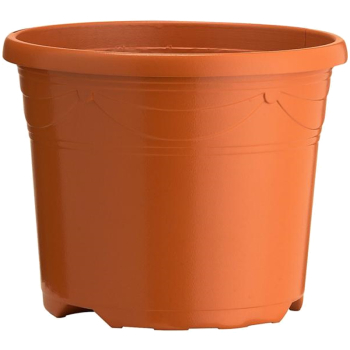 Sandra Decorative Pot Sandra Decorative Pot