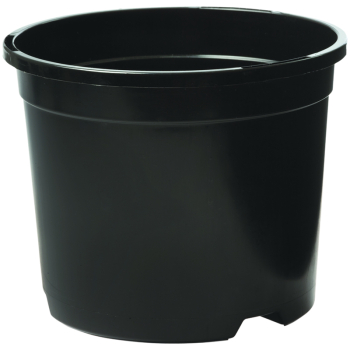 Desch 'Y' Based Container Pots