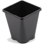 Square/Round Slotted Pot 1L